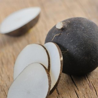 platzhalter