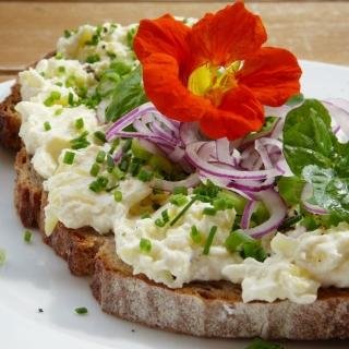 platzhalter