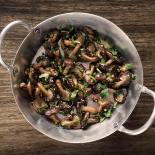 Shiitake, der König der Speisepilze