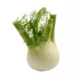Fenchel aus Franken