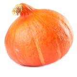 Kürbis Hokkaido aus Franken