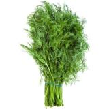 Dill im Bund vom Landgut