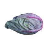Spitzkohl rot aus Franken