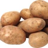 Kartoffeln mehlig REGIO