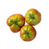 Ur-Tomaten bunt
