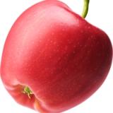 Äpfel Idared
