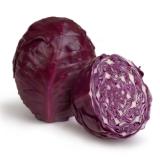 Blaukraut vom Landgut