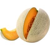 Melone Cantaloupe