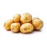 Kartoffeln vfk Otolia aus Hemhofen