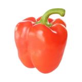 Paprika rot