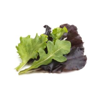 Babyleaf Salat aus Franken ca. 125g