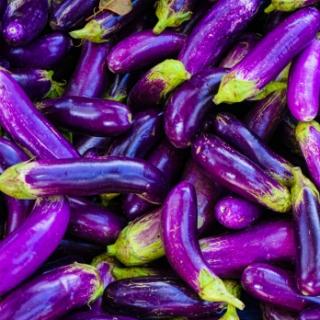 Japanische Auberginen