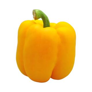 Paprika gelb aus Bayern