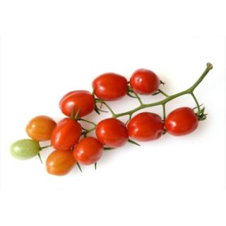Strauchtomaten Ovetto Butterini