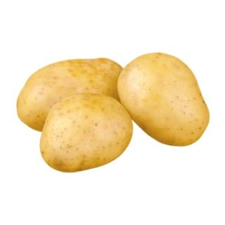 Frühkartoffeln vfk Spunta