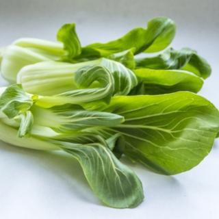 Pak Choi aus Franken