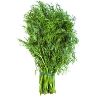 Dill im Bund vom Landgut