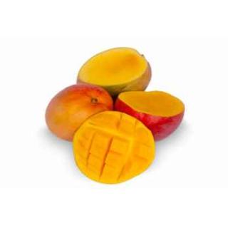 Mango Tommy Atkins