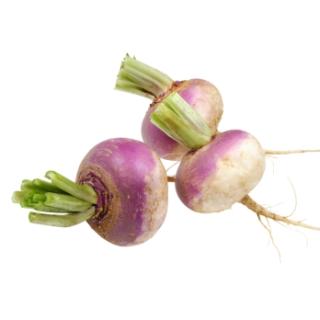 Mairübchen Bund aus Franken