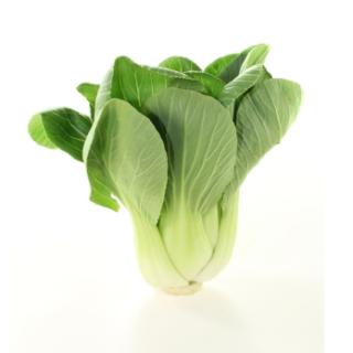 Gemüseretter: Pak Choi vom Landgut
