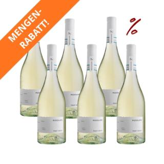 6x Pinot Grigio Pizzolato Riffelflasche