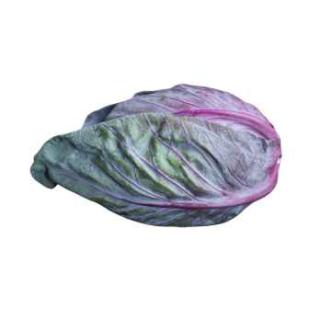 Spitzkohl rot aus Franken