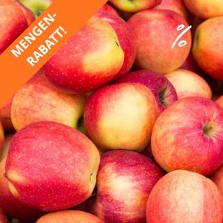 Äpfel Elstar aus Franken ca. 2,5 kg