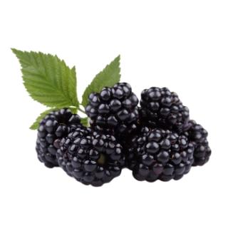 Brombeeren 125g