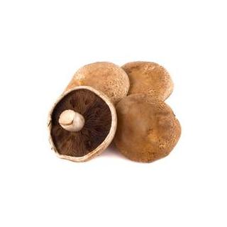 Pilze Portobello groß ca. 300g