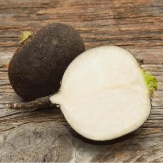 Rettich schwarz REGIO