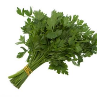 Petersilie glatt aus Bayern