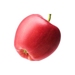Äpfel Idared