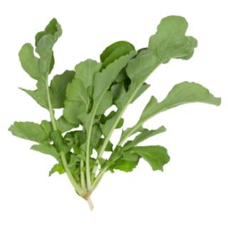 Rucola vom Landgut
