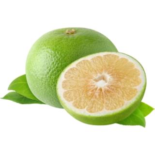 Grapefruit weiß unbehandelt
