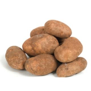 Kartoffeln vfk Otolia aus Franken