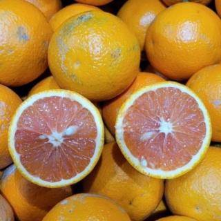 Obstretter: Saftorangen unbehandelt