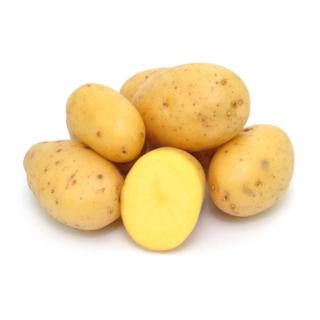 Frühkartoffeln fk "Anuschka" vom Landgut