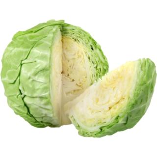 Weißkraut vom Landgut