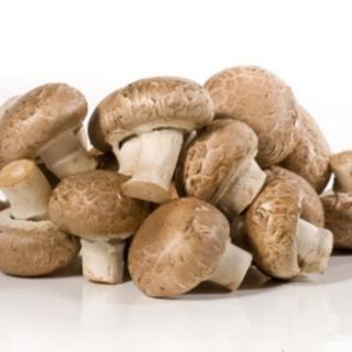 Champignons ca. 250g