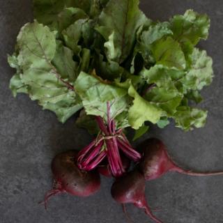 Rote Bete Bund vom Landgut