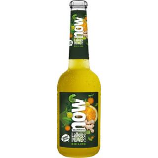 now LaDolce Ingwer! 10 Flaschen