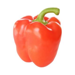 Paprika rot