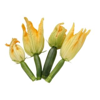 Zucchiniblüten (4 Stück) vom Landgut