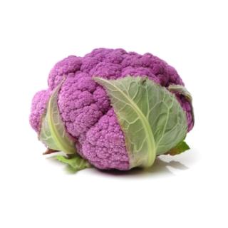 Blumenkohl violett