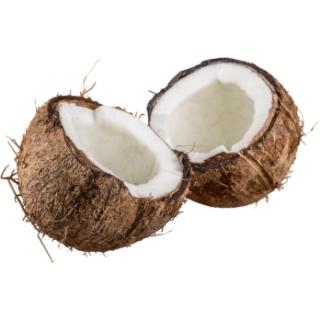 Kokosnuss