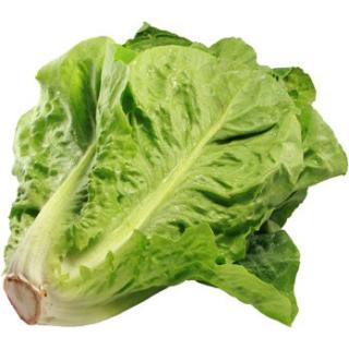 Salatherz Romana REGIO