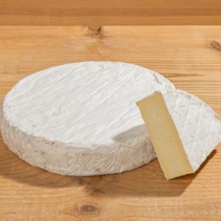 Amtsschimmel Brie