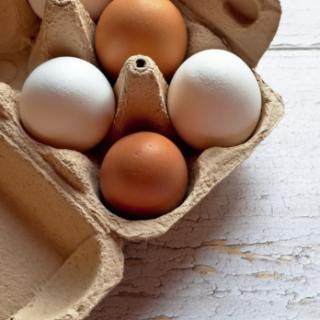 Eierretter 6er Pack MHD 05.09.
