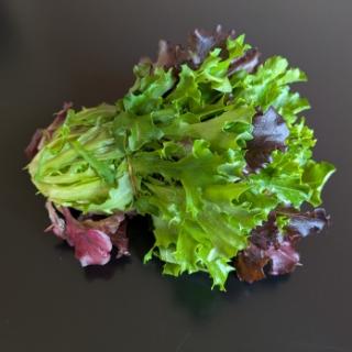 Schnittsalat vom Landgut