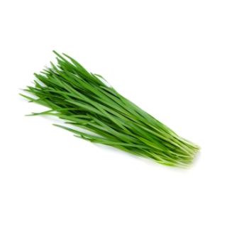 Schnittknoblauch vom Landgut